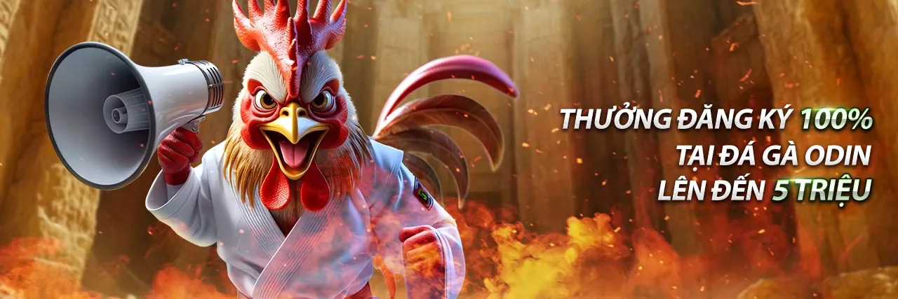 Đá gà cựa dao và cựa sắt tại 33win.2