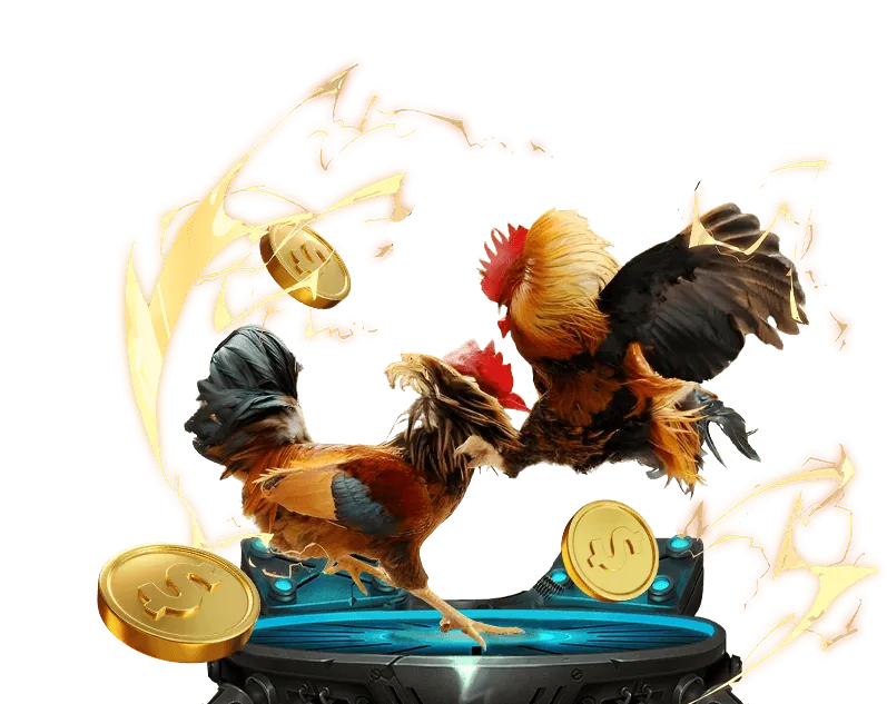 Cá cược thể thao 33win.2